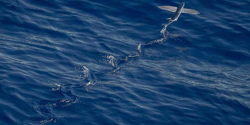 从战场到企业：跳频与扩频技术如何重塑未来通信工程的安全与抗干扰格局