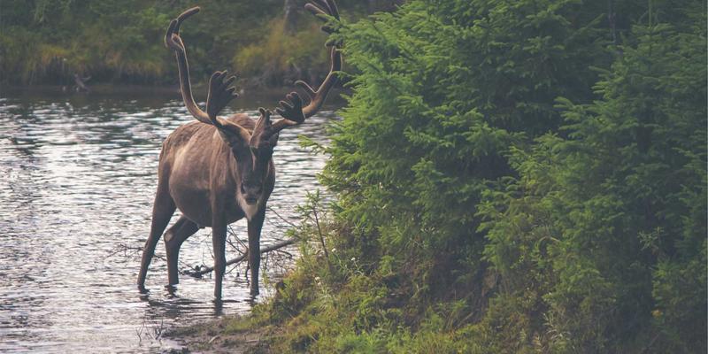 光纤网络与数据中心的高密度部署：通信设备热设计如何保障可靠性