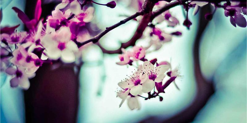 光纤网络与未来网络:从独立演进到深度集成的通信工程革命