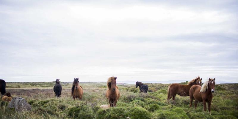 光纤网络与未来网络集成：通信设备节能技术的绿色工程实践
