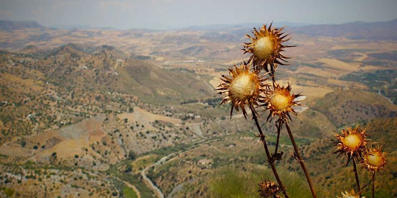 未来网络新范式：基于AI的无线网络智能运维与故障自愈系统