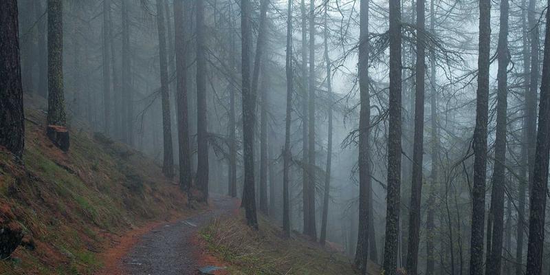 通信工程3.0时代：网络解决方案与数据中心的融合创新