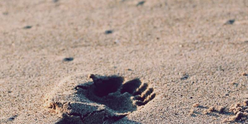 通信工程4.0时代：光纤网络与智能解决方案如何重塑未来网络生态