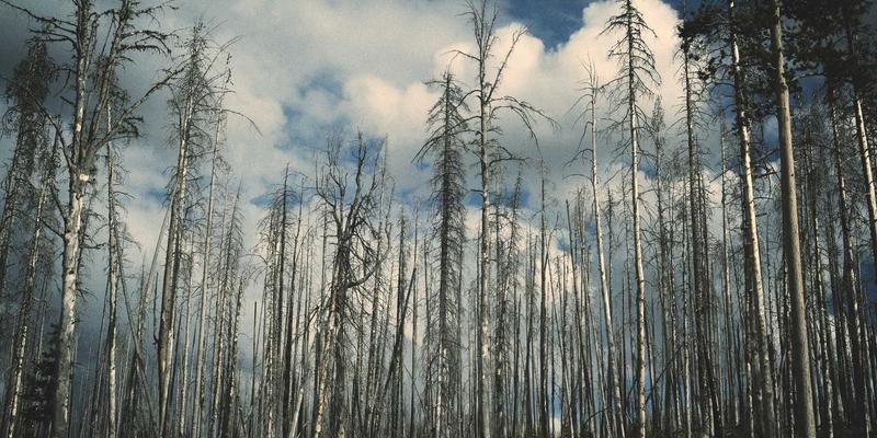 通信工程55：数据中心与网络集成如何重塑未来网络架构