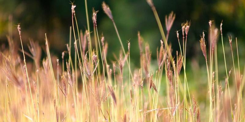 通信工程81：构建面向未来的企业级网络解决方案