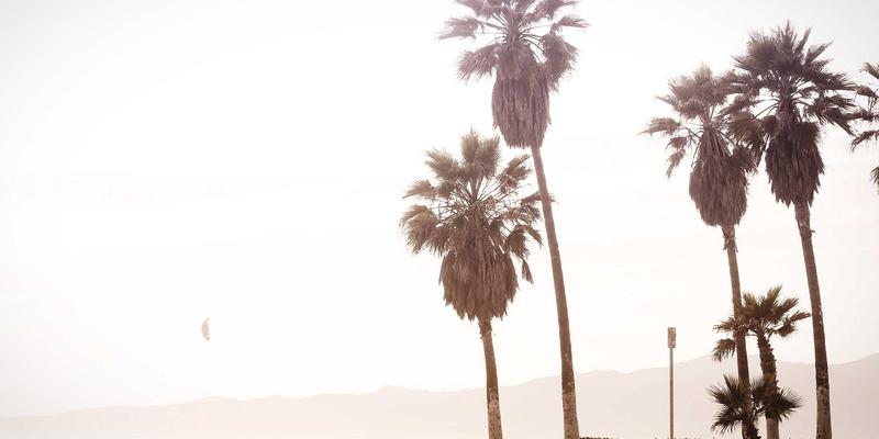 通信工程89:构建下一代智能网络的集成解决方案