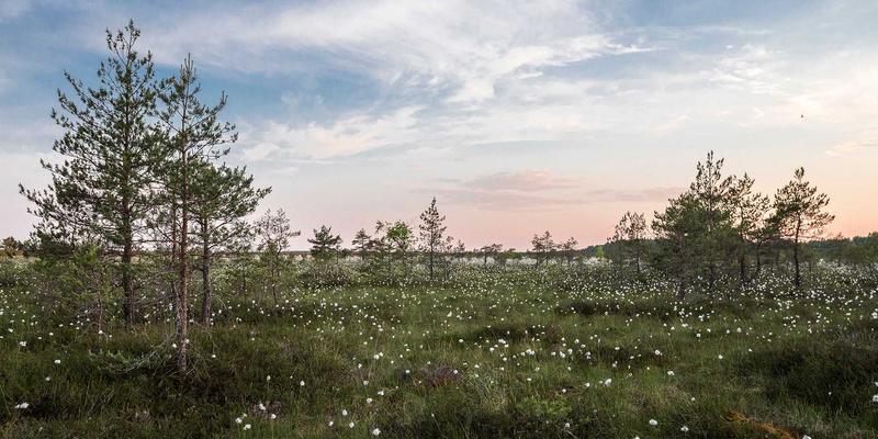 通信工程发展新纪元:网络集成如何重塑企业通信生态