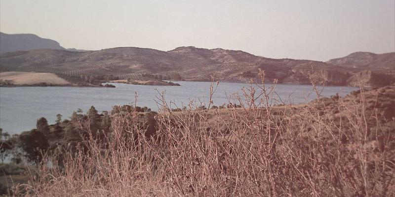 通信工程攻略：数据中心与网络集成的核心技术与实施要点