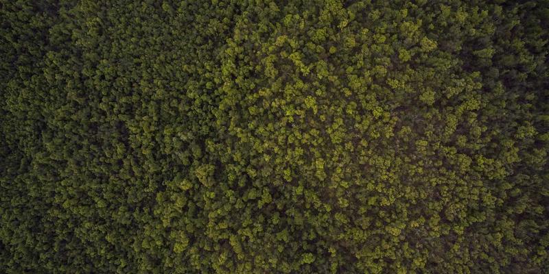 通信工程新前沿：室内高精度定位技术如何重塑未来网络解决方案