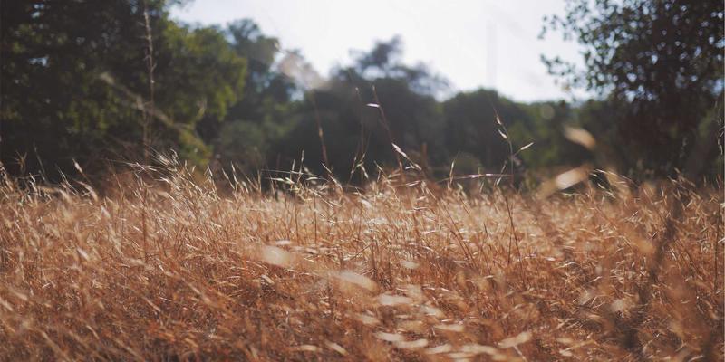 通信工程新挑战：毫米波在固定无线接入中的网络集成与部署实践