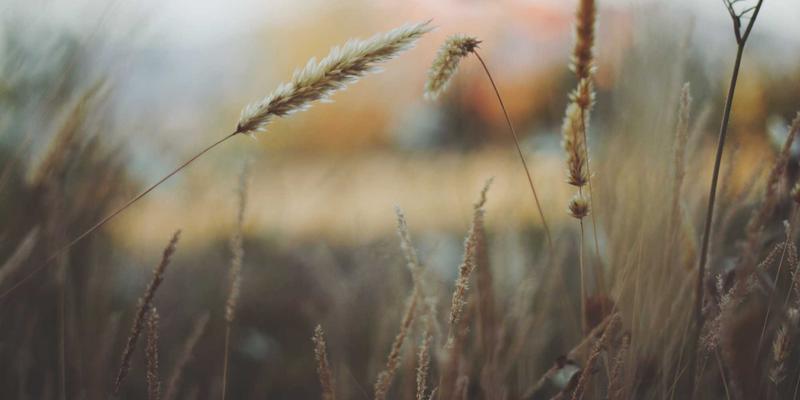 通信工程新突破：智能反射面技术如何以低成本革新网络解决方案与数据中心性能