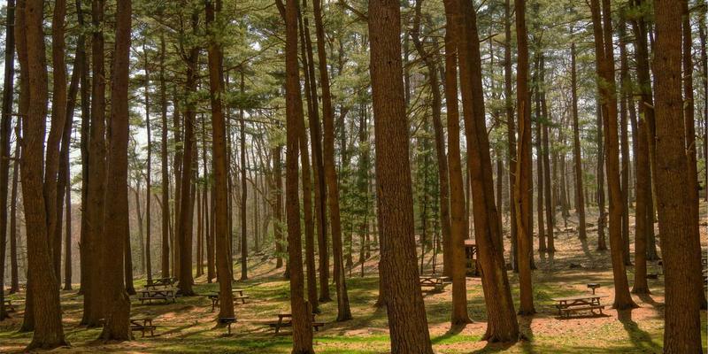 通信工程新纪元：数据中心、光纤网络与企业通信的融合创新