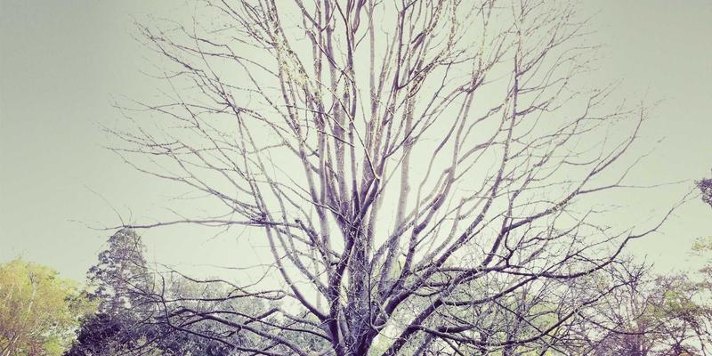 量子通信工程化新突破：城市级量子密钥分发网络如何重塑企业通信安全与光纤网络解决方案